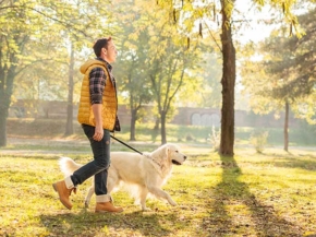 benefits of walking the dog