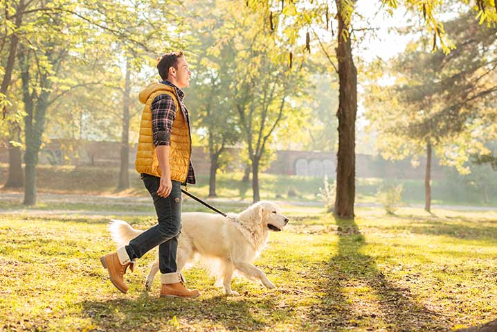 the benefits of walking your dog