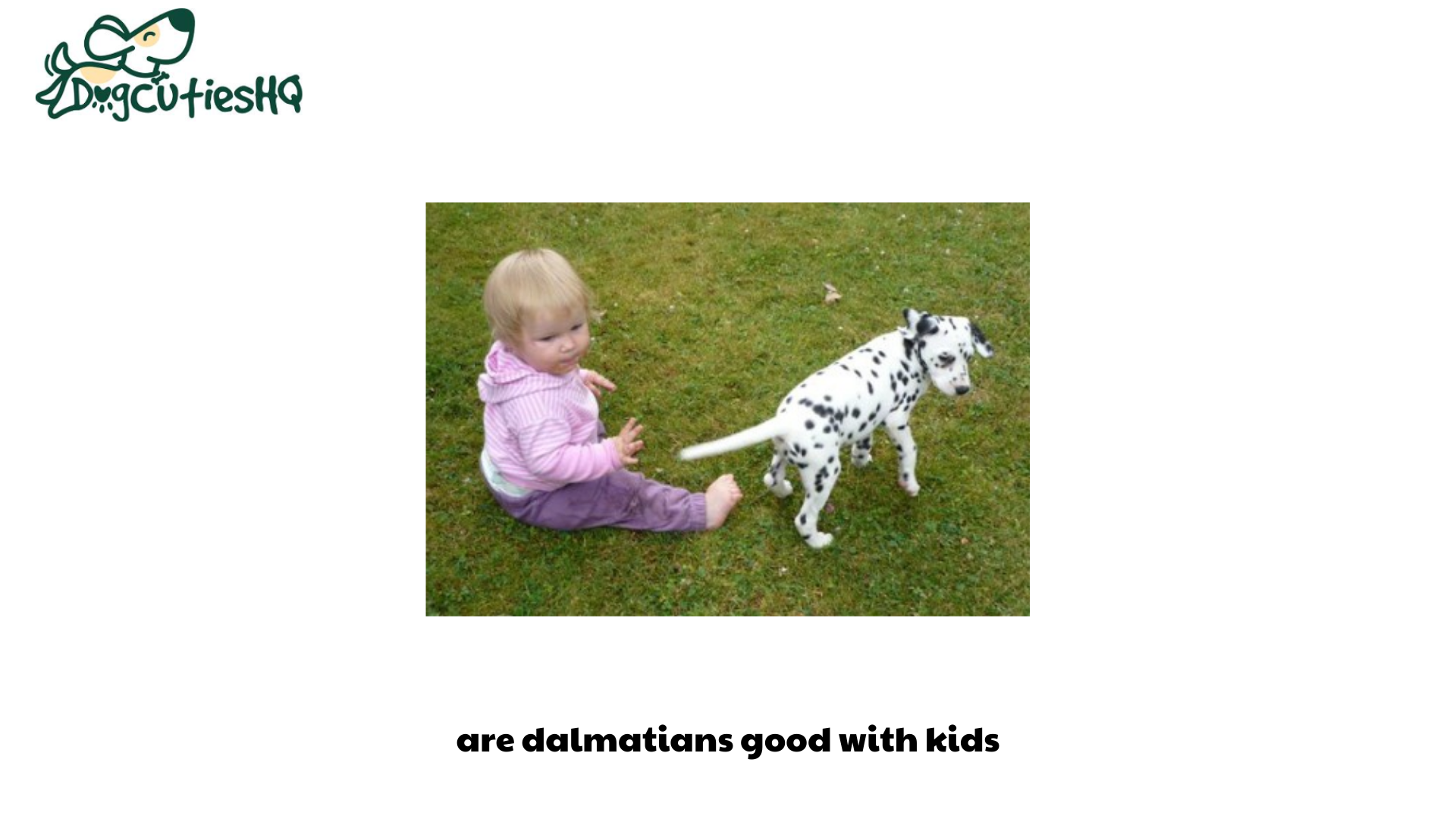 are dalmatians good with kids (1)