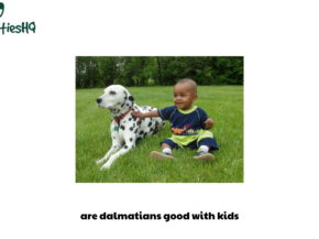 are dalmatians good with kids