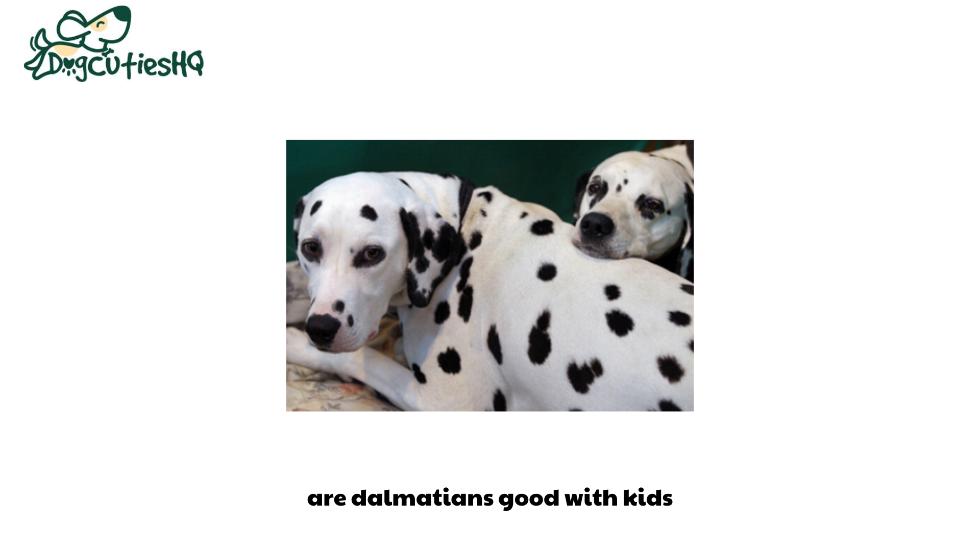 are dalmatians good with kids (1)