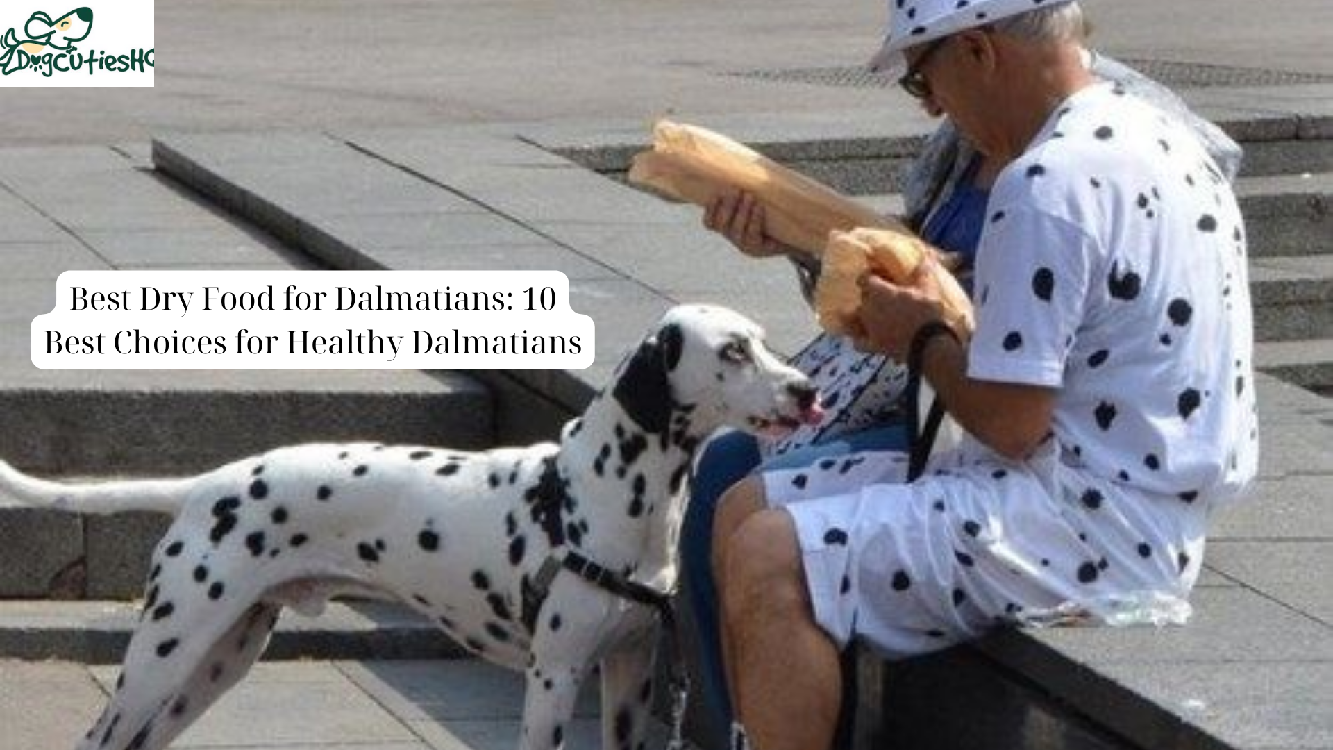 Best Dry Food for Dalmatians 10 Best Choices for Healthy Dalmatians (1)